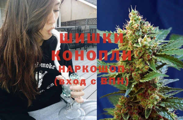 прущие грибы Арсеньев