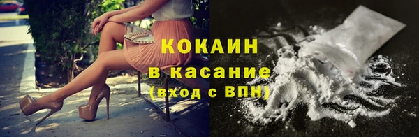 прущие грибы Арсеньев